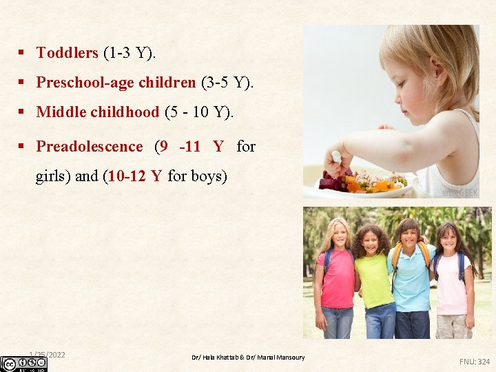 § Toddlers (1 -3 Y). § Preschool-age children (3 -5 Y). § Middle childhood