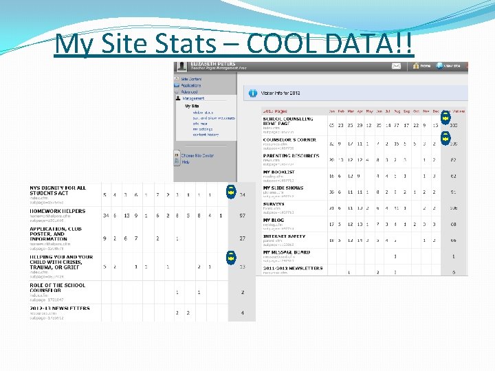 My Site Stats – COOL DATA!! 