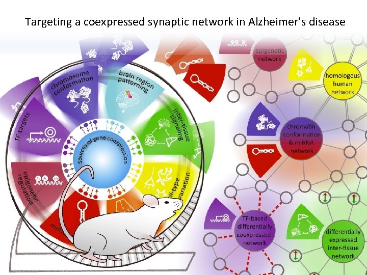 Targeting a coexpressed synaptic network in Alzheimers disease