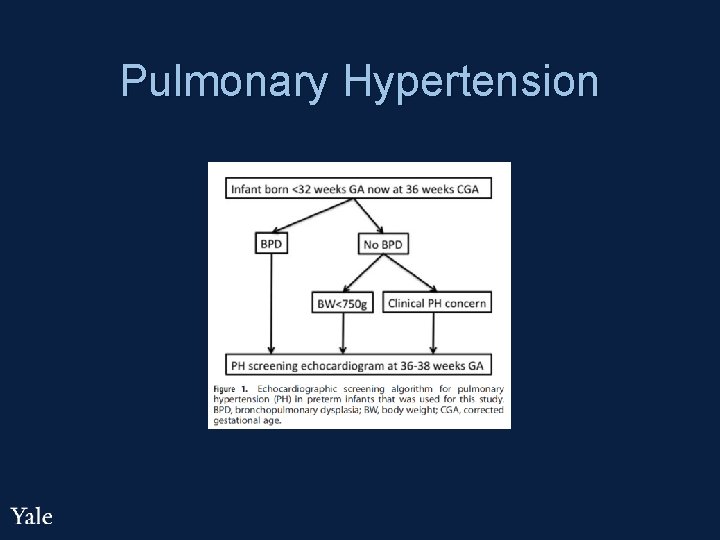 Pulmonary Hypertension 