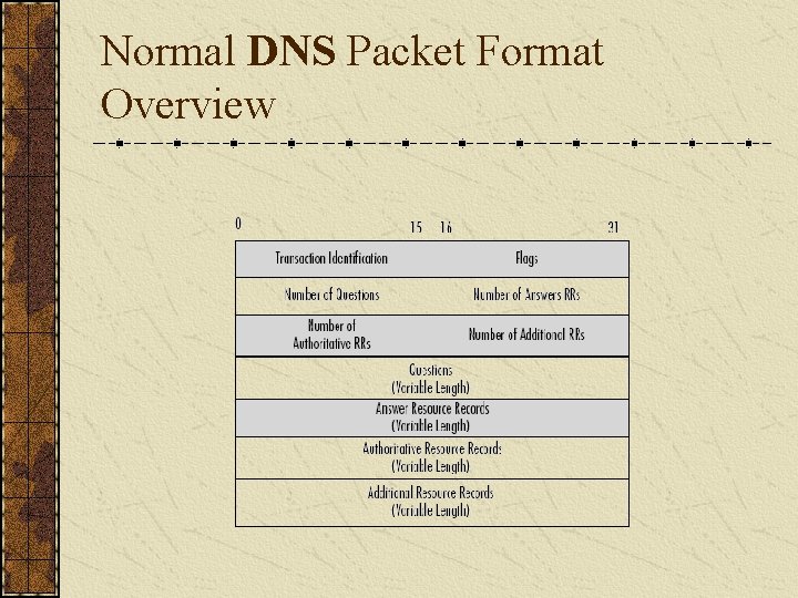 Normal DNS Packet Format Overview 