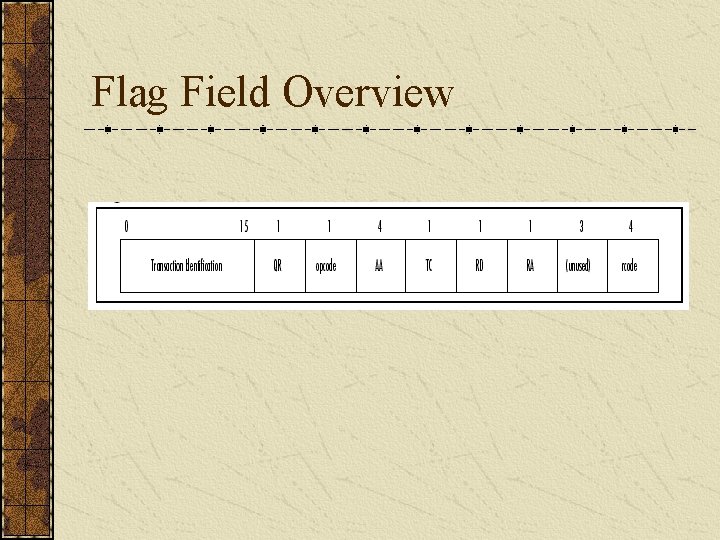 Flag Field Overview 
