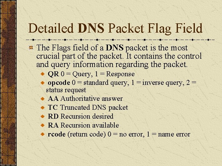 Detailed DNS Packet Flag Field The Flags field of a DNS packet is the