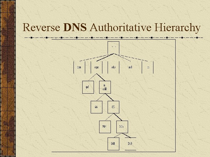 Reverse DNS Authoritative Hierarchy 