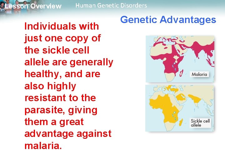 Lesson Overview Human Genetic Disorders Individuals with just one copy of the sickle cell