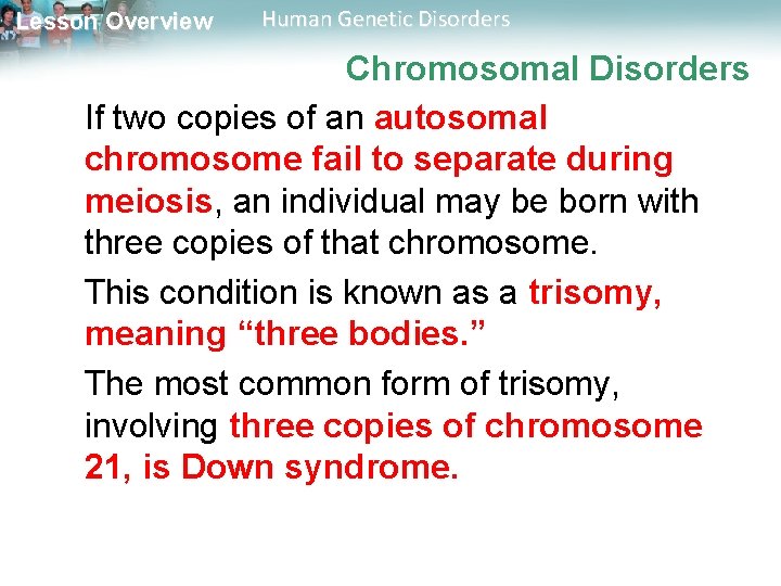Lesson Overview Human Genetic Disorders Chromosomal Disorders If two copies of an autosomal chromosome