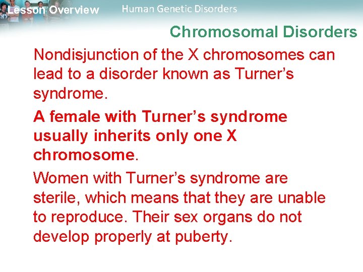 Lesson Overview Human Genetic Disorders Chromosomal Disorders Nondisjunction of the X chromosomes can lead