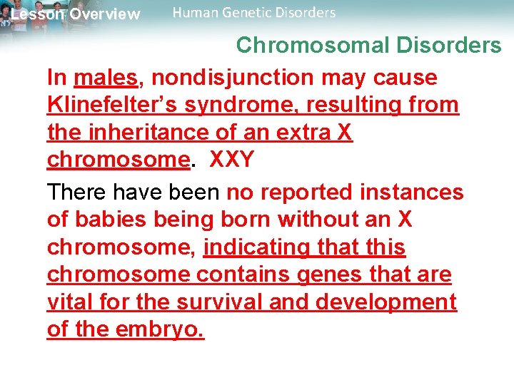 Lesson Overview Human Genetic Disorders Chromosomal Disorders In males, nondisjunction may cause Klinefelter’s syndrome,