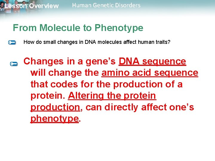 Lesson Overview Human Genetic Disorders From Molecule to Phenotype How do small changes in