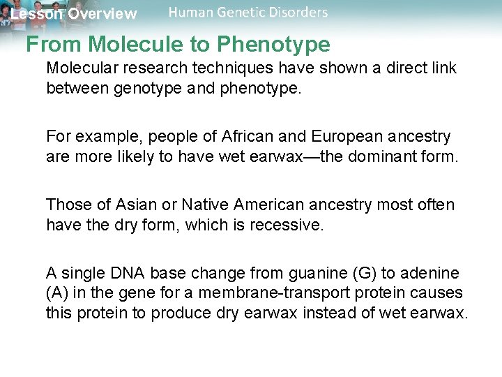 Lesson Overview Human Genetic Disorders From Molecule to Phenotype Molecular research techniques have shown