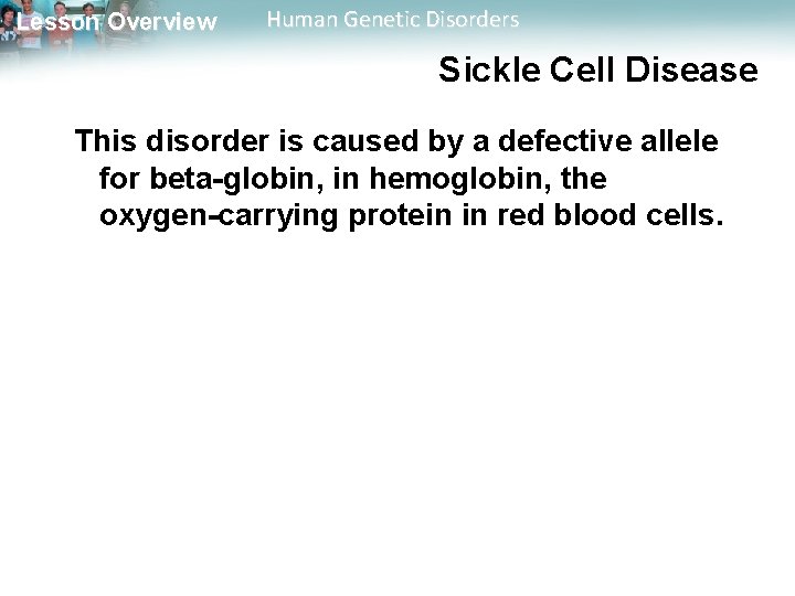 Lesson Overview Human Genetic Disorders Sickle Cell Disease This disorder is caused by a