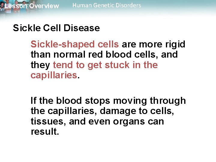 Lesson Overview Human Genetic Disorders Sickle Cell Disease Sickle-shaped cells are more rigid than