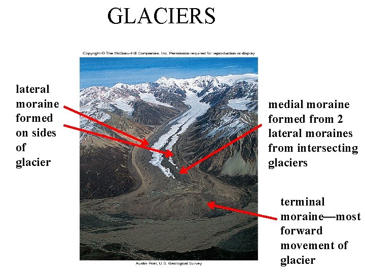 GLACIERS lateral moraine formed on sides of glacier medial moraine formed from 2 lateral