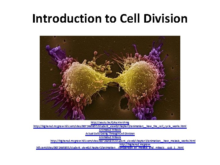 Introduction to Cell Division http: //youtu. be/Q 6 uc. KWIIFmg http: //highered. mcgraw-hill. com/sites/0072495855/student_view