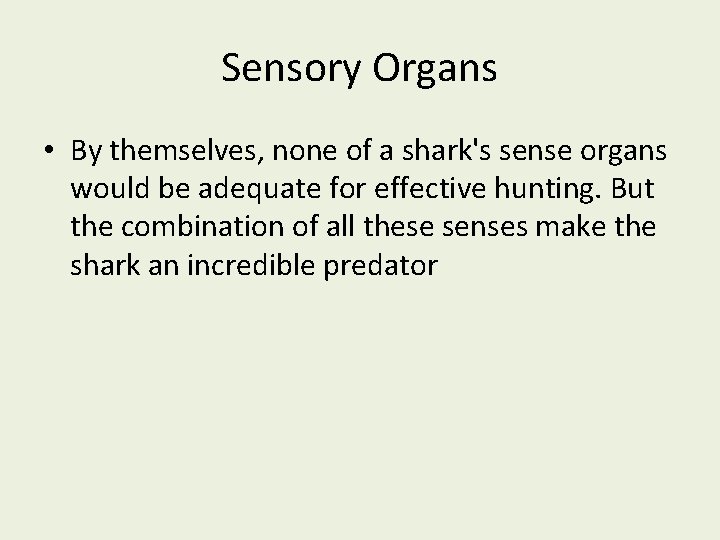 Sensory Organs • By themselves, none of a shark's sense organs would be adequate