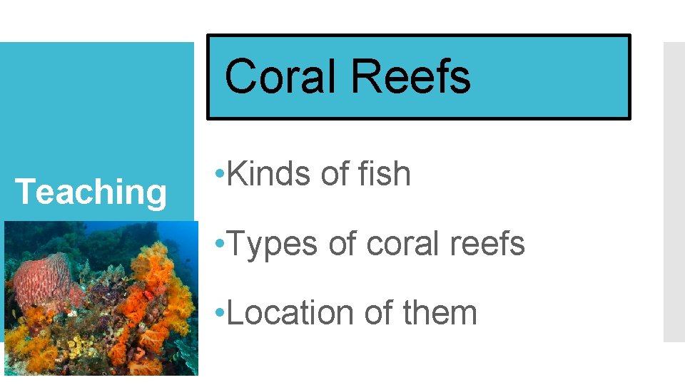 Coral Reefs Teaching • Kinds of fish • Types of coral reefs • Location