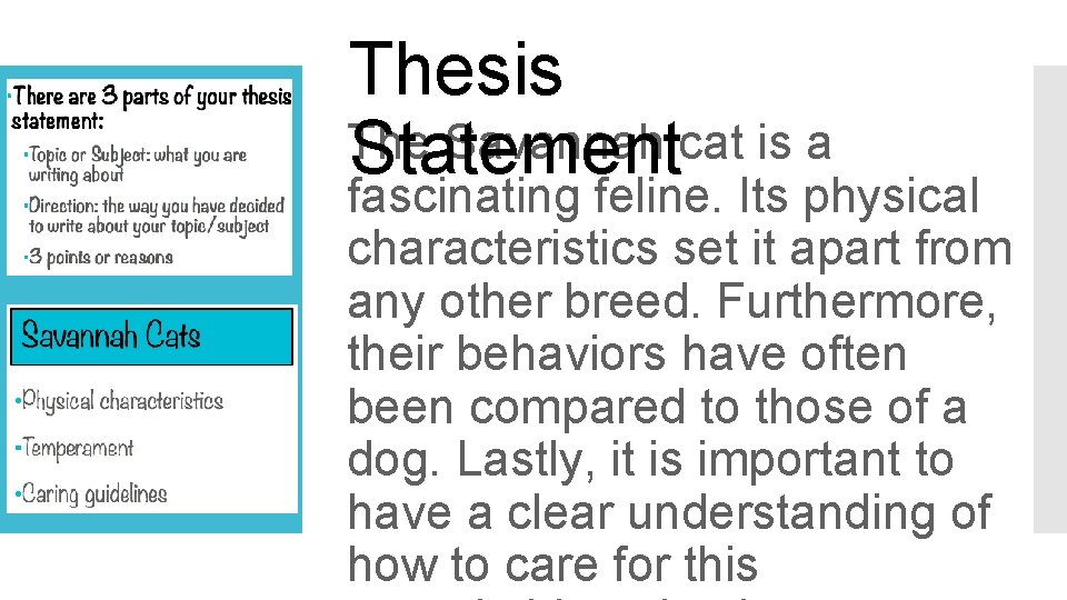 Thesis The Savannah cat is a Statement fascinating feline. Its physical characteristics set it