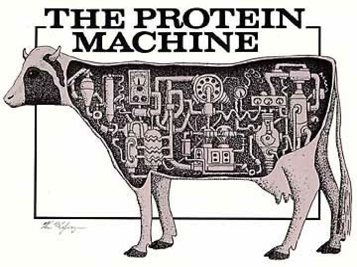 PROTEINS 