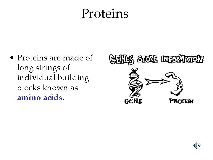 Proteins • Proteins are made of long strings of individual building blocks known as