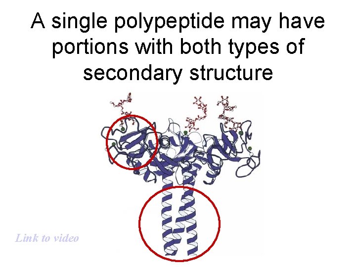 A single polypeptide may have portions with both types of secondary structure Link to