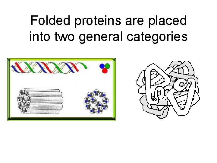 Folded proteins are placed into two general categories 