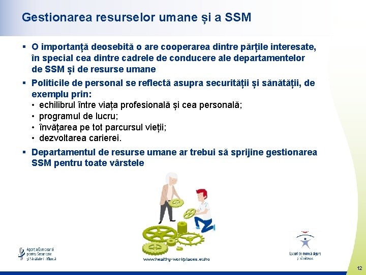 Gestionarea resurselor umane și a SSM § O importanță deosebită o are cooperarea dintre