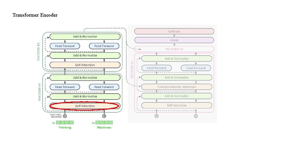 Transformer Encoder 
