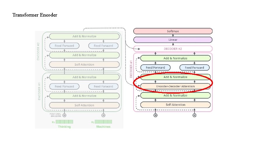 Transformer Encoder 