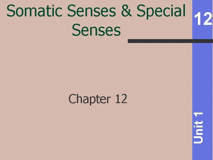 Somatic Senses & Special 12 Senses Unit 1 Chapter 12 