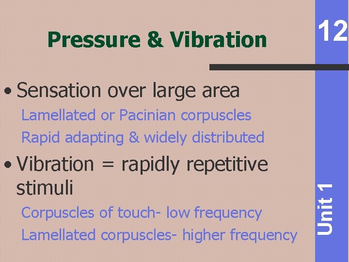 Pressure & Vibration 12 • Sensation over large area • Vibration = rapidly repetitive