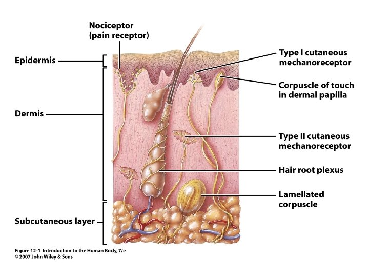 Figure 12. 1 