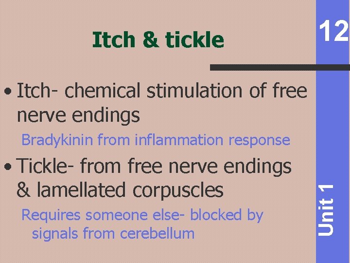 Itch & tickle 12 • Itch- chemical stimulation of free nerve endings • Tickle-