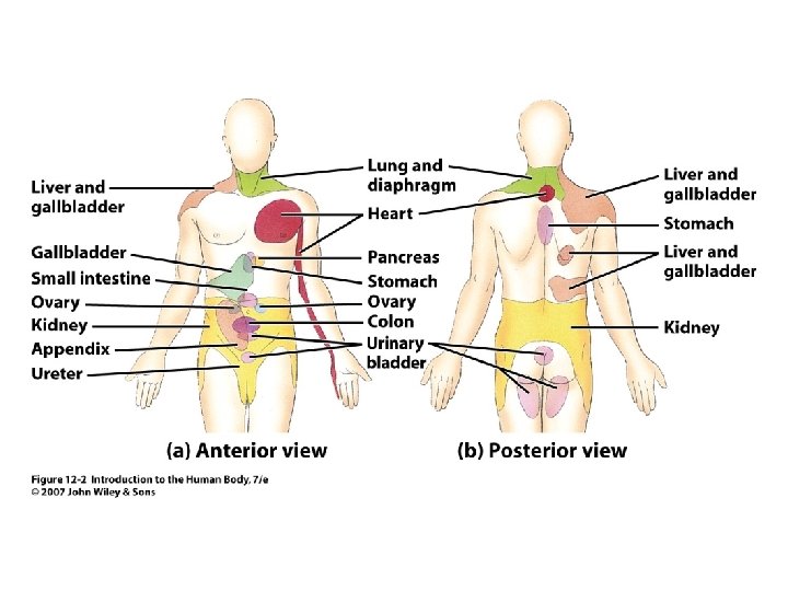 Figure 12. 2 