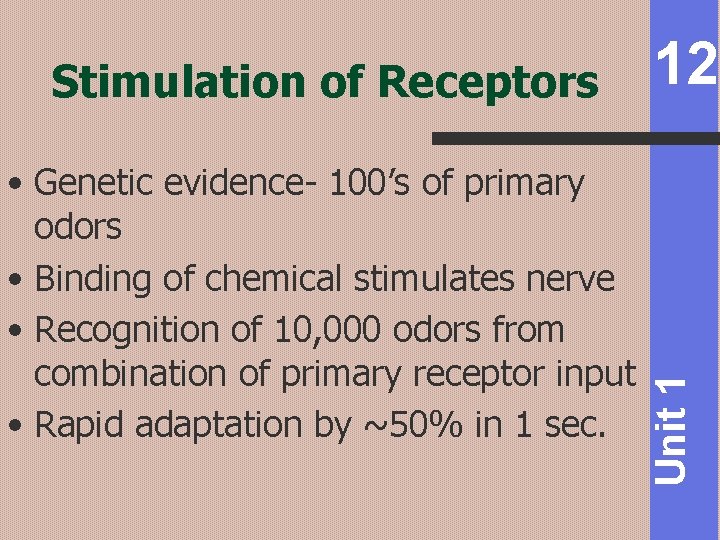  • Genetic evidence- 100’s of primary odors • Binding of chemical stimulates nerve
