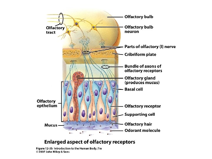 Figure 12. 3 b 