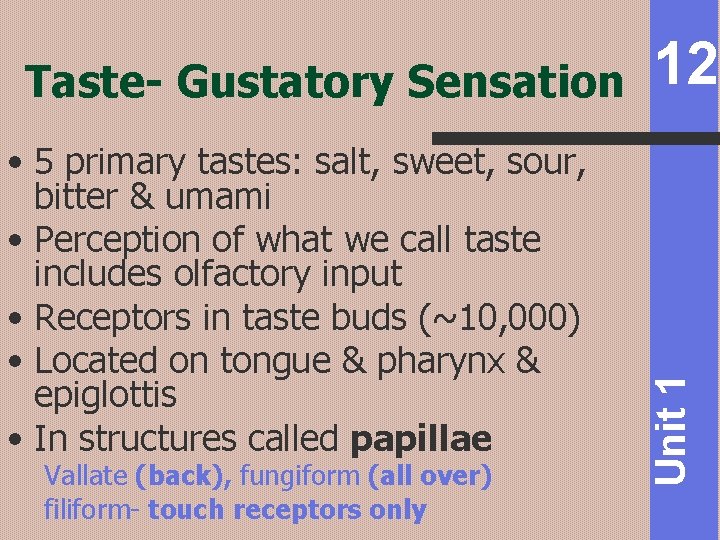  • 5 primary tastes: salt, sweet, sour, bitter & umami • Perception of