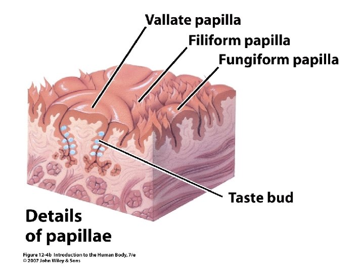 Figure 12. 4 b 