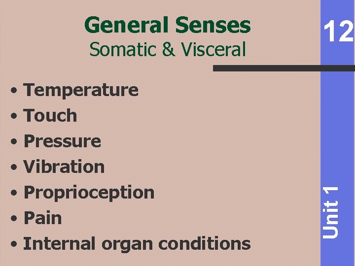 Somatic & Visceral • Temperature • Touch • Pressure • Vibration • Proprioception •