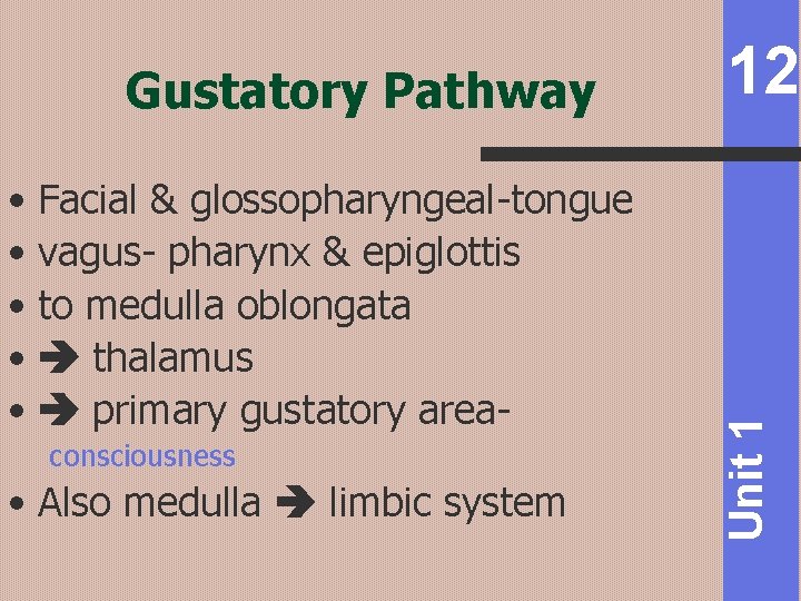  • Facial & glossopharyngeal-tongue • vagus- pharynx & epiglottis • to medulla oblongata