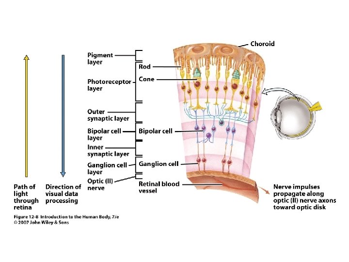 Figure 12. 8 