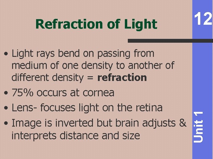 Refraction of Light 12 • Lens- focuses light on the retina • Image is