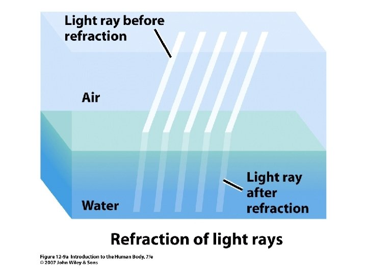 Figure 12. 9 a 