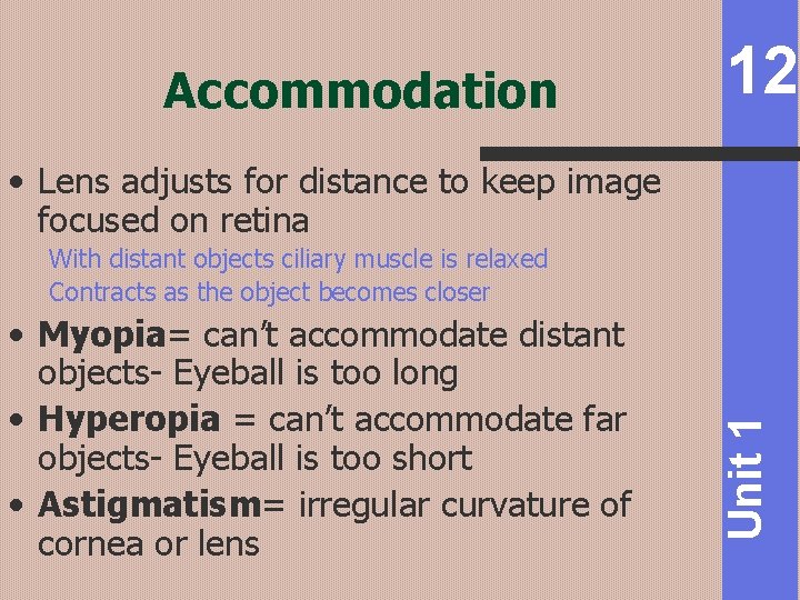 Accommodation 12 • Lens adjusts for distance to keep image focused on retina •