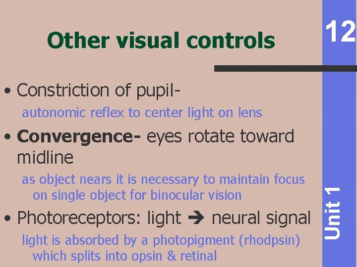 Other visual controls 12 • Constriction of pupilautonomic reflex to center light on lens