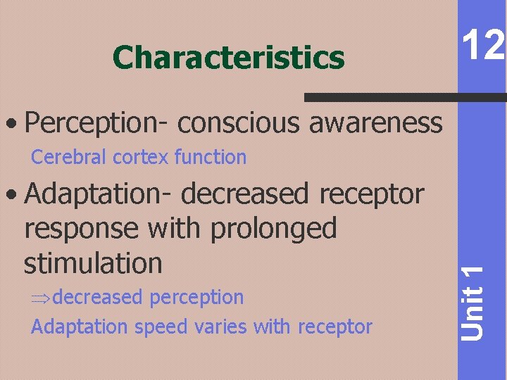 Characteristics 12 • Perception- conscious awareness • Adaptation- decreased receptor response with prolonged stimulation