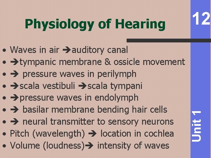  • • • Waves in air auditory canal tympanic membrane & ossicle movement