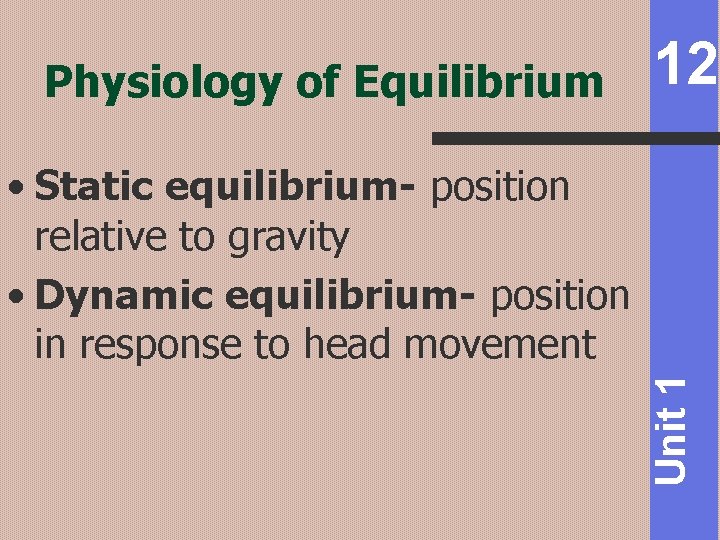 Physiology of Equilibrium 12 Unit 1 • Static equilibrium- position relative to gravity •