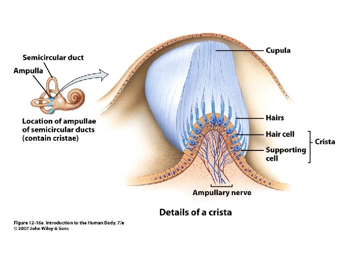 Figure 12. 16 a 