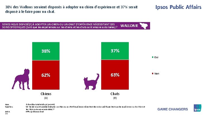 38% des Wallons seraient disposés à adopter un chien d’expérience et 37% serait disposé