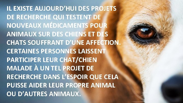 IL EXISTE AUJOURD’HUI DES PROJETS DE RECHERCHE QUI TESTENT DE NOUVEAUX MÉDICAMENTS POUR ANIMAUX